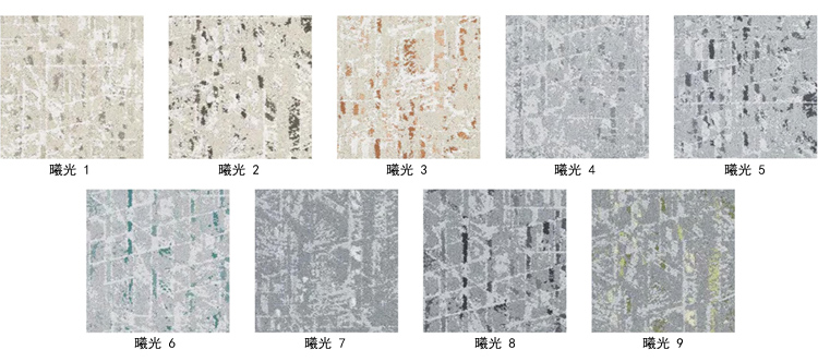办公室地毯 展厅地毯 高档地毯 会议室地毯 写字楼地毯