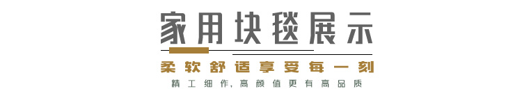威尔顿地毯 家装地毯 客厅地毯 家居块毯