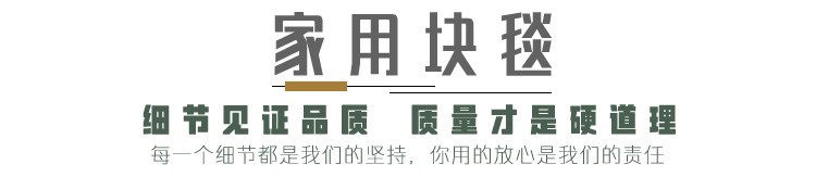 威尔顿地毯 家装地毯 客厅地毯 家居块毯