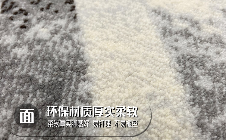 威尔顿地毯 家装地毯 客厅地毯 家居块毯
