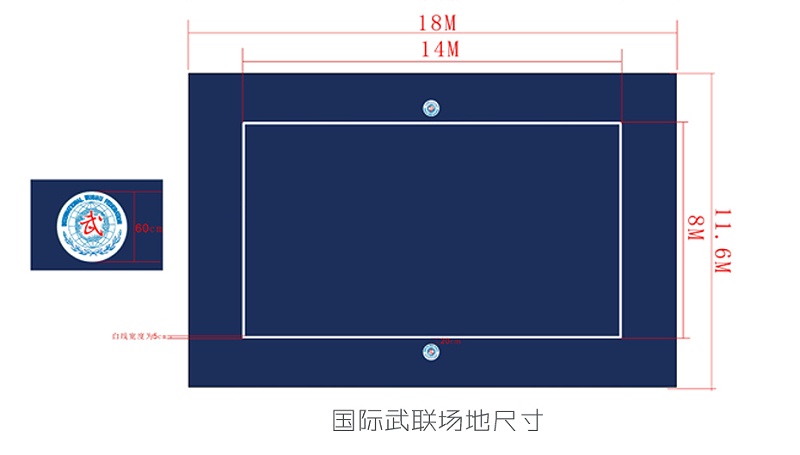 国际武联