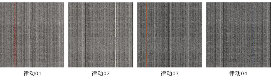 办公室地毯 展厅地毯 高档地毯 会议室地毯 写字楼地毯