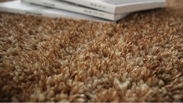 地毯厂家科普----涤纶地毯的四个优点