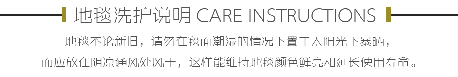家用地毯洗护说明